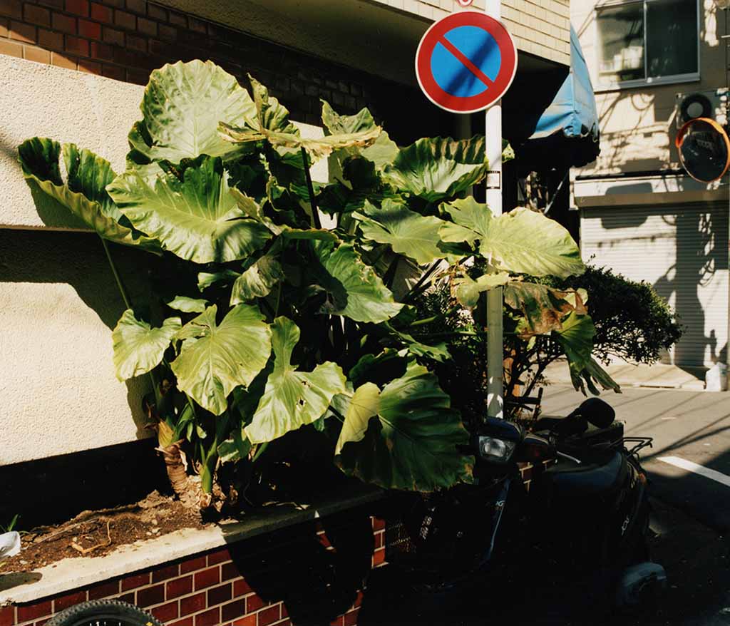 02_konwaku