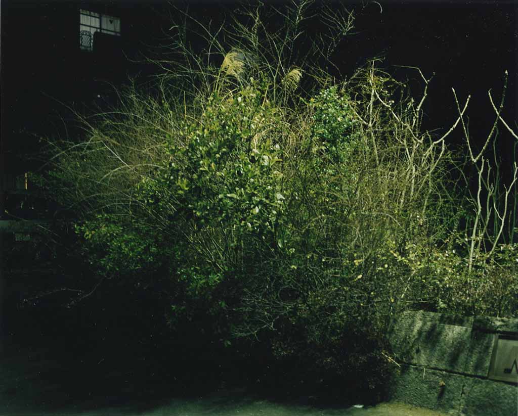 04_konwaku