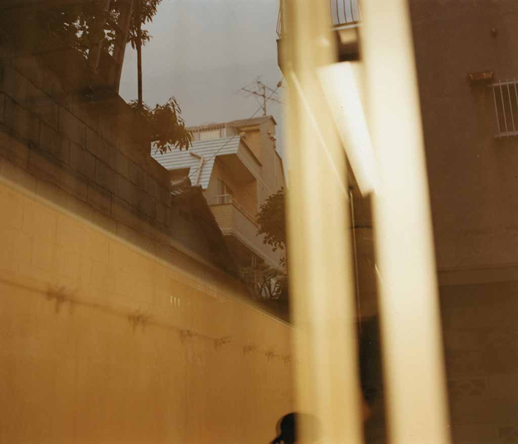 06_konwaku